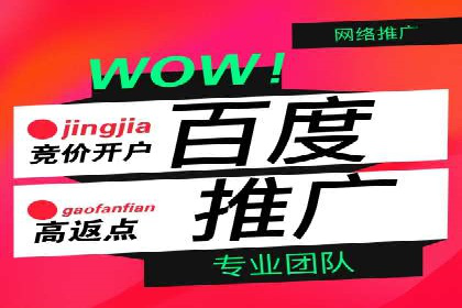 百度推广运营实战：成功案例解析